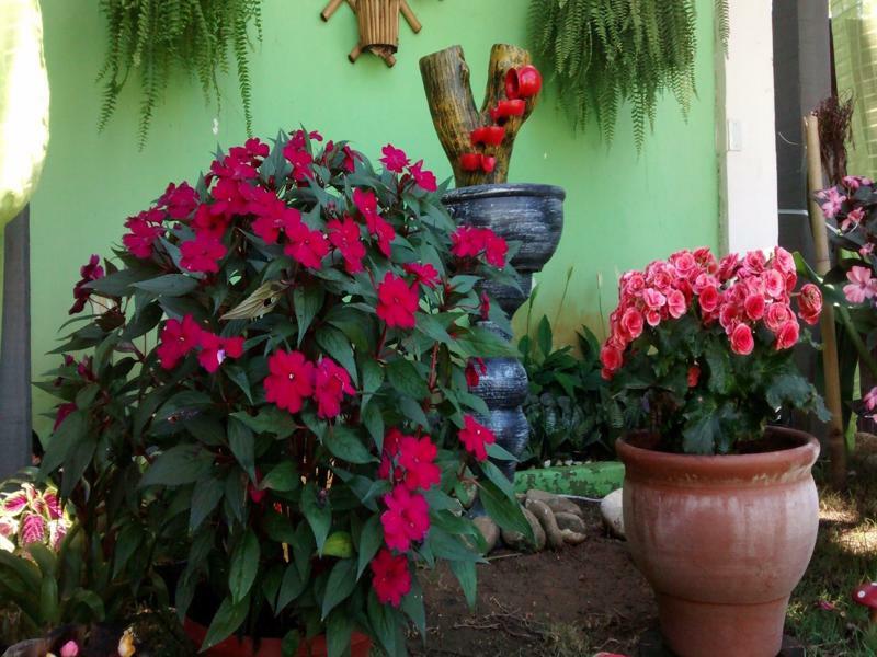 Pousada Flora Buzios Екстериор снимка